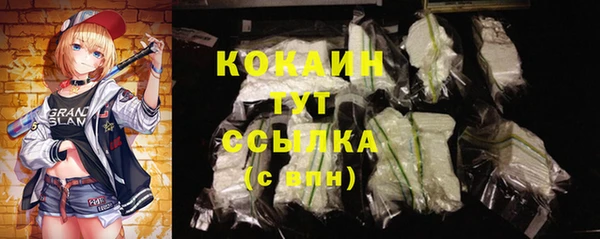 твердый Алексеевка