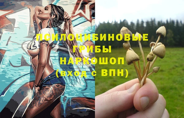 apvp Покровск